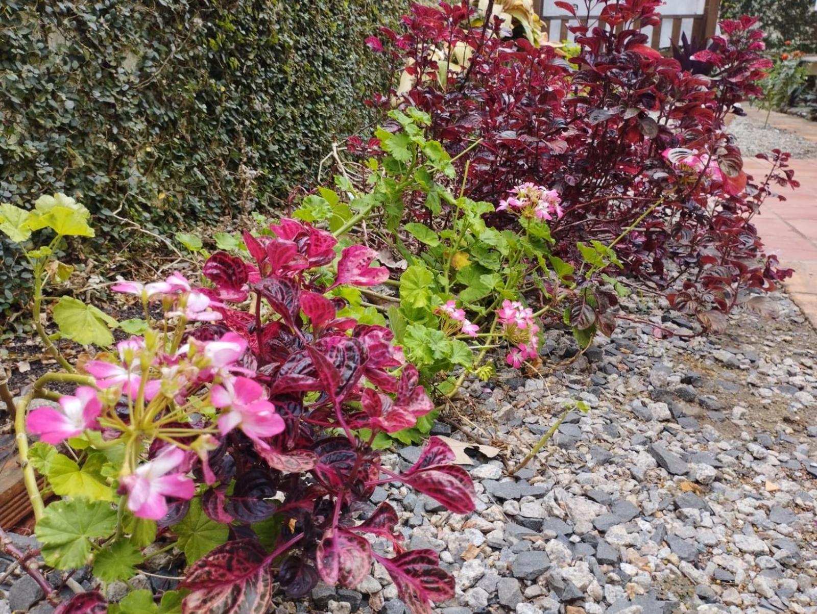 Charmoso apto com clima de casa em Canasvieiras Florianopolis Exterior foto