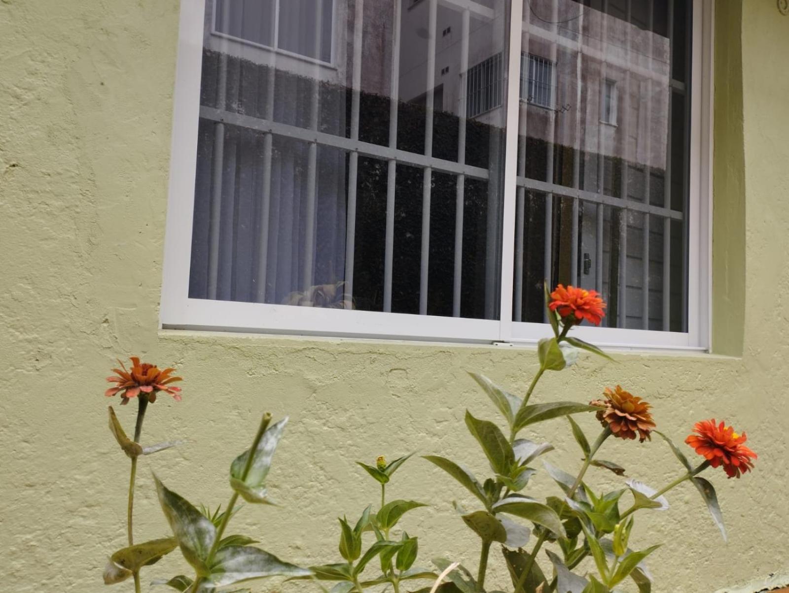Charmoso apto com clima de casa em Canasvieiras Florianopolis Exterior foto